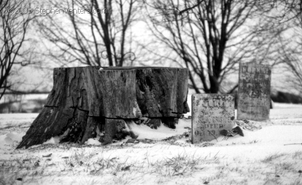 Nature Photography - StephenVenters.com