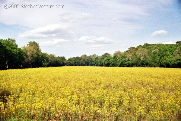 Nature Photography - StephenVenters.com