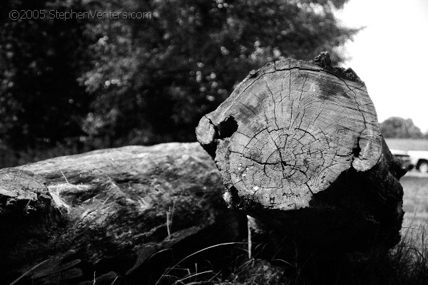 Nature Photography - StephenVenters.com