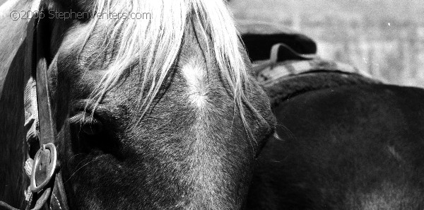 Nature Photography - StephenVenters.com