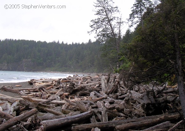 Nature Photography - StephenVenters.com