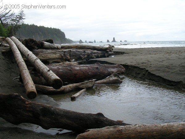 Nature Photography - StephenVenters.com