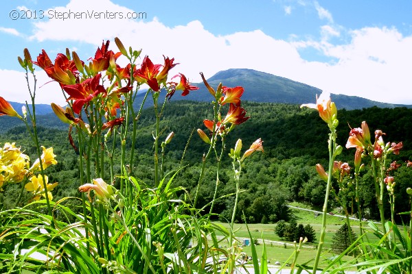 Nature Photography - StephenVenters.com