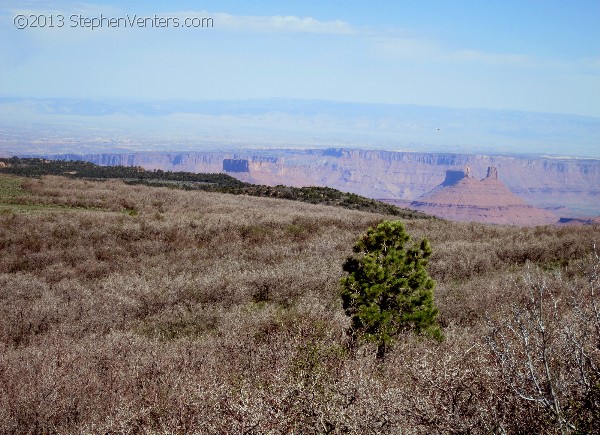 Nature Photography - StephenVenters.com