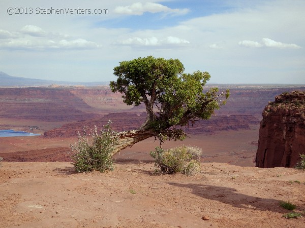 Nature Photography - StephenVenters.com