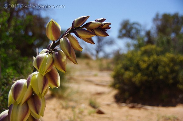 Nature Photography - StephenVenters.com